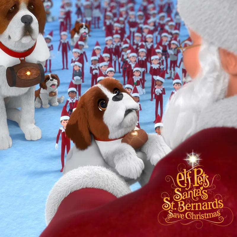 Fox Cub & St. Bernard Dual DVD/Blu-Ray