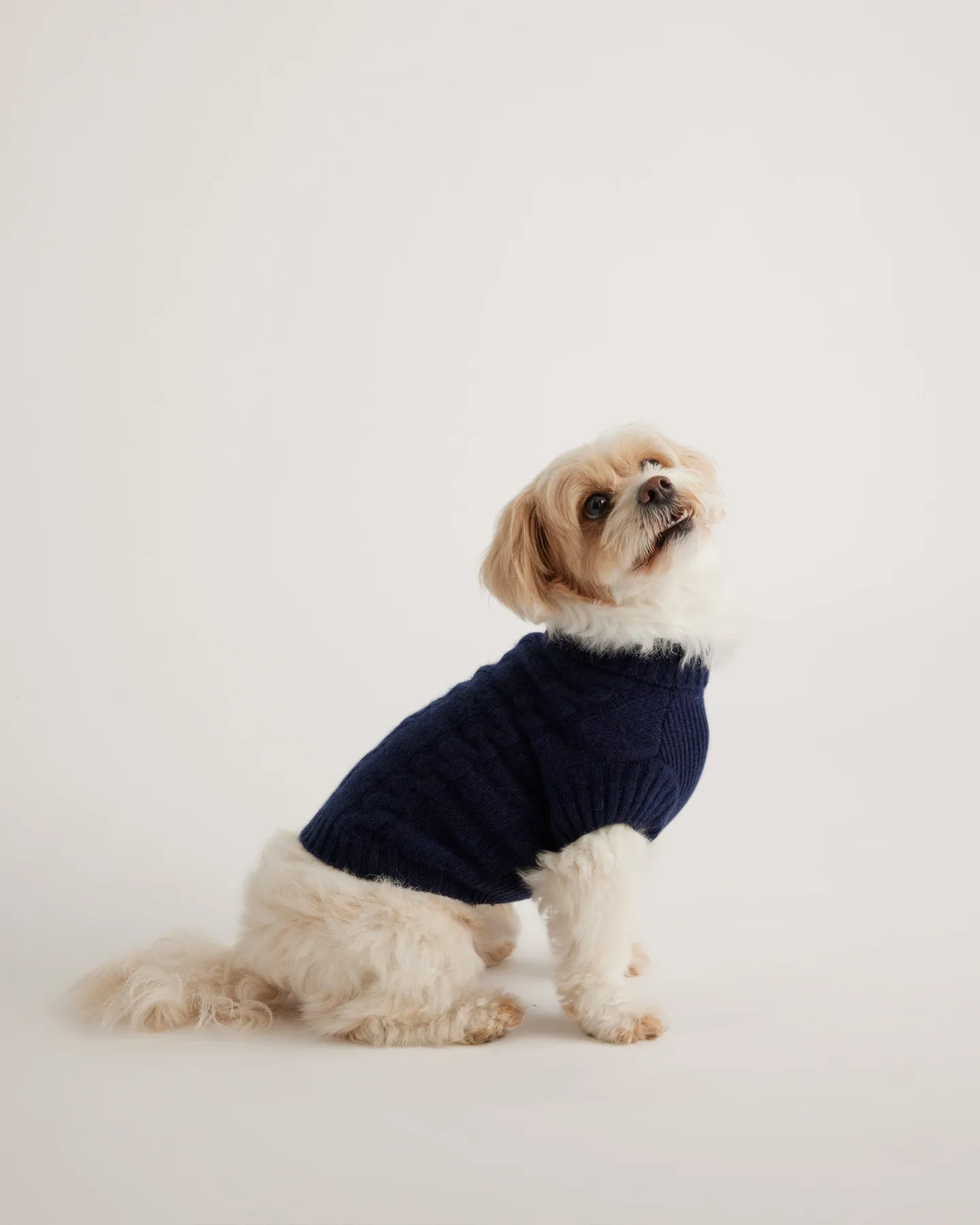 Mongolian Cashmere Cable Knit Dog Sweater
