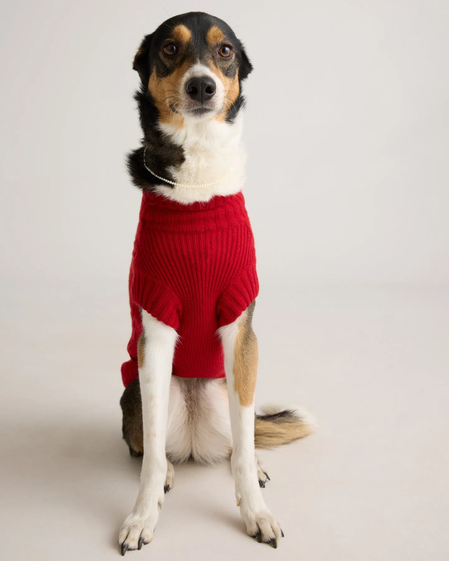 Mongolian Cashmere Cable Knit Dog Sweater