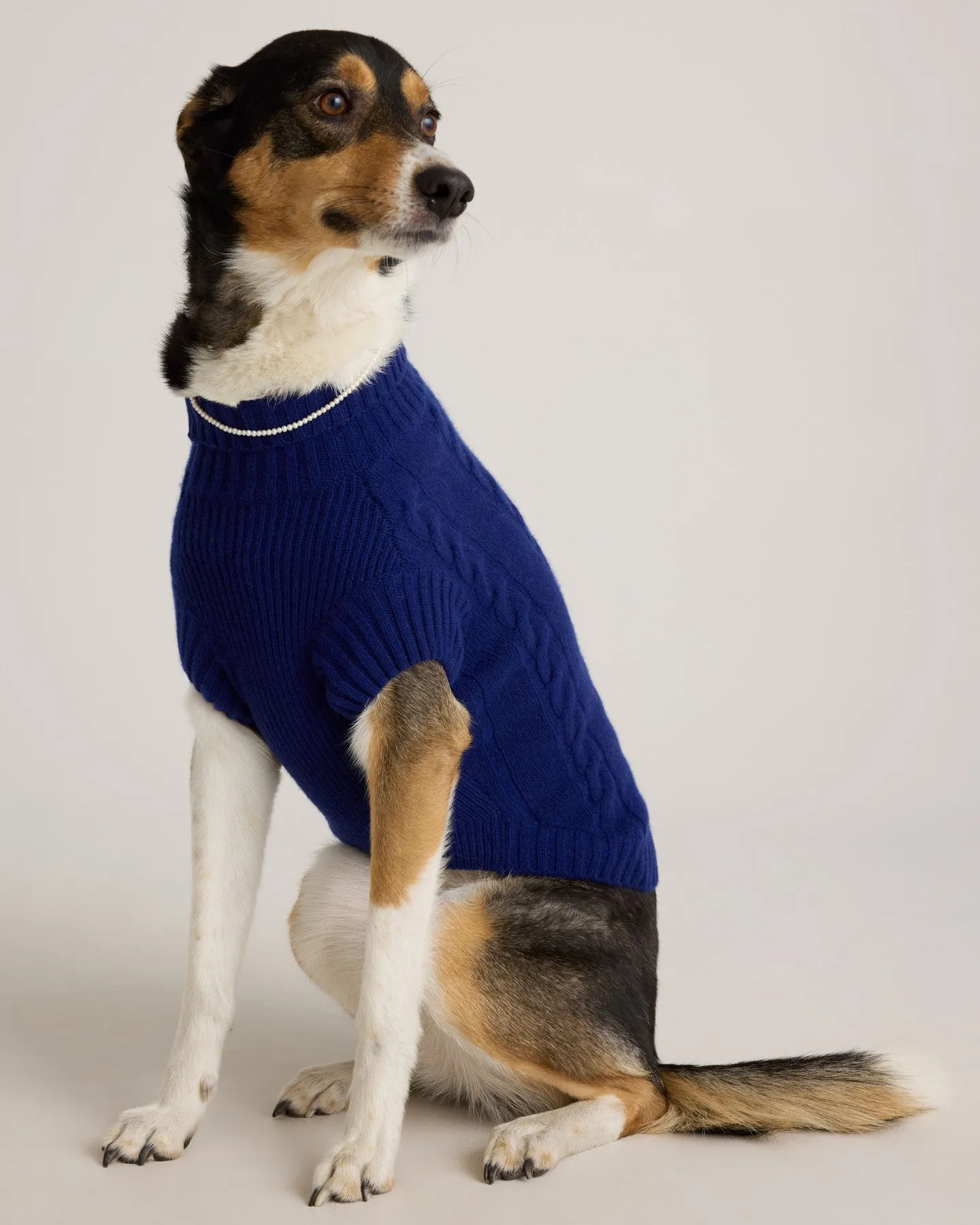 Mongolian Cashmere Cable Knit Dog Sweater