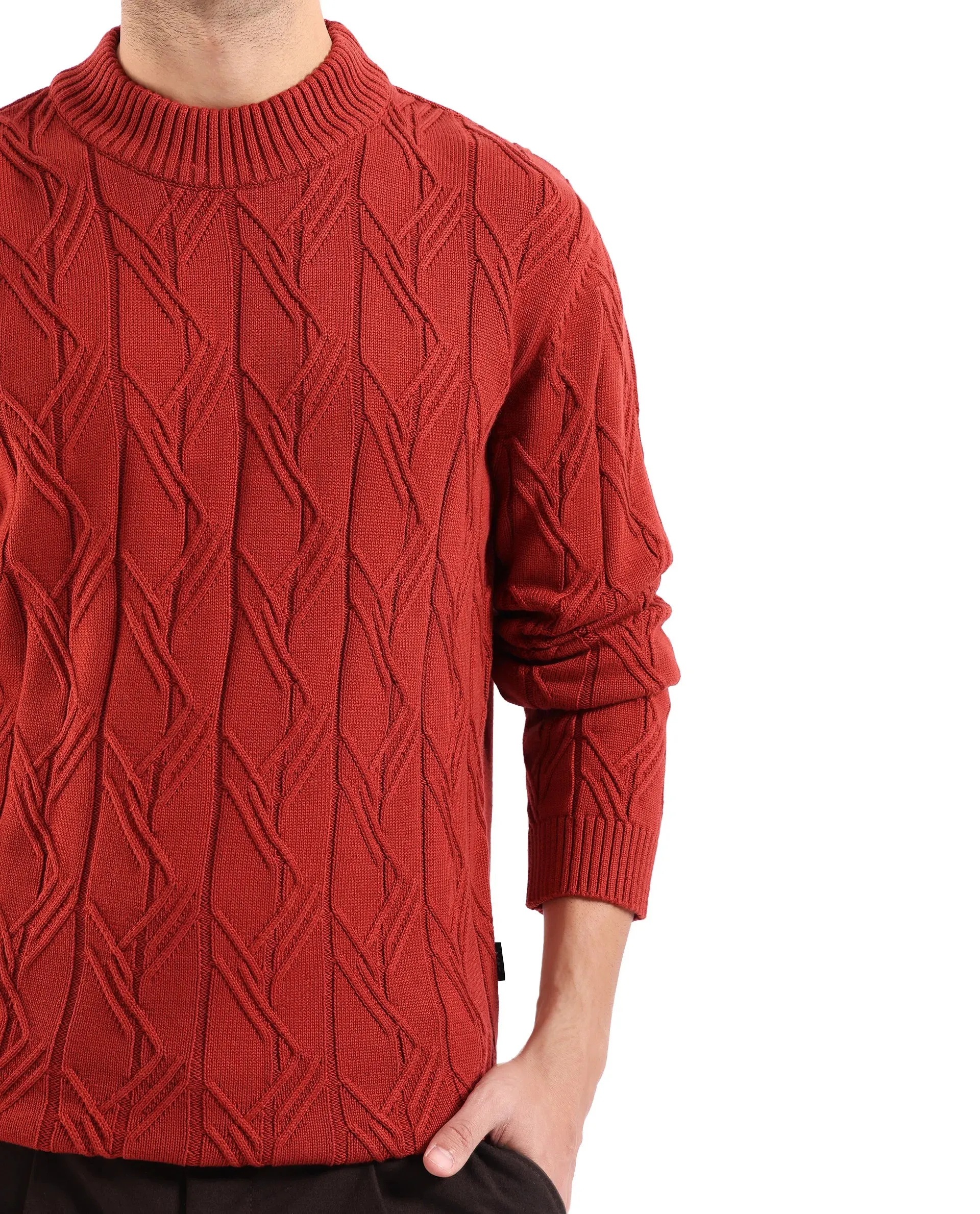 Rare Rabbit Men's Caloz Rust Cotton Fabric Full Sleeve High Neck Regular Fit Cable Knit Sweater